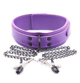 Collar with Clamps, Purple 