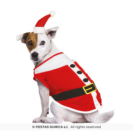 Santa Dog Costume