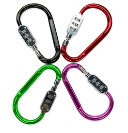 Carabiner Lock with Resettable Ring Code