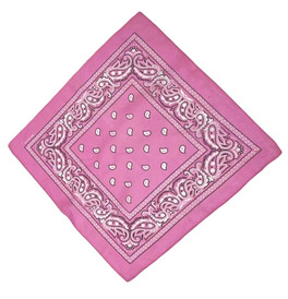 Bandana, Light Pink Paisley