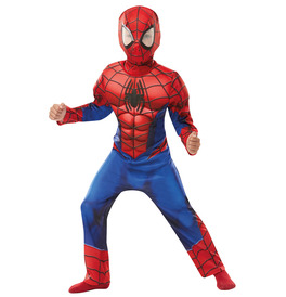 Deluxe Spiderman Costume