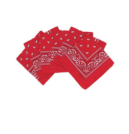 Pack Of 6 Red Paisley Bandanas