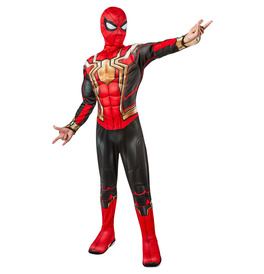 Spider-Man No Way Home Costume 