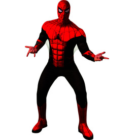 Spider-Man No Way Home Black and Red Costume