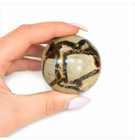 Turtle Jasper Orbs Crystals 135g-330g (4.8-6CM)