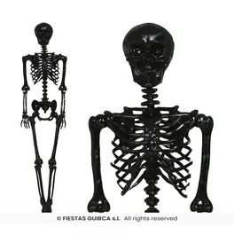 Skeleton 160cm, Black
