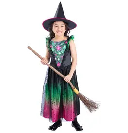 Wicked Witch Light Up Costume