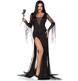 Sexy Spooky Morticia Costume