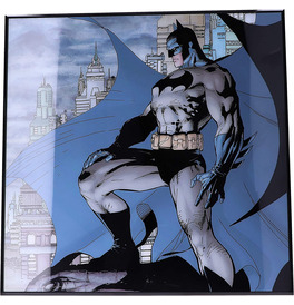 Batman - Gotham Crystal Clear Picture 