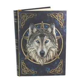 Nemesis Now Embossed Journal The Wild One 17cm