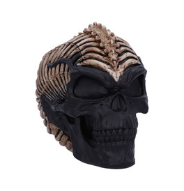 James Ryman Spine Head Skull 18.5cm