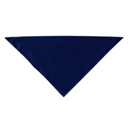 Plain Blue Bandanna