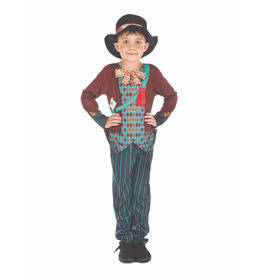 Mad Hatter Boy Costume