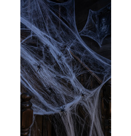 White Spider Webs & Spiders
