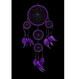 Purple Dreamcatcher Wall Hanging with Feathers
