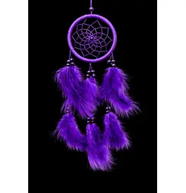 Dream Catcher, Purple Small
