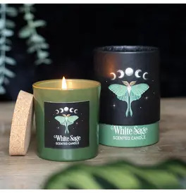 Luna Moth White Sage Candle