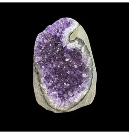 Amethyst Geode 10cm 823g