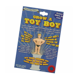 Grow A Toy Boy