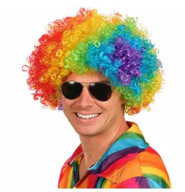 Afro Wig, Rainbow 