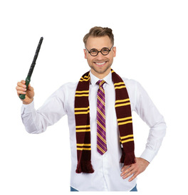 Wizard Glasses, Wand, Tie & Scarf