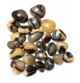Turtle Jasper Tumble Stone Crystals 
