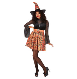 Vintage Witch Costume