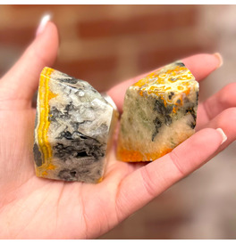 Bumblebee Jasper 