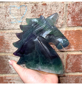 Fluorite Unicorn 696-947g