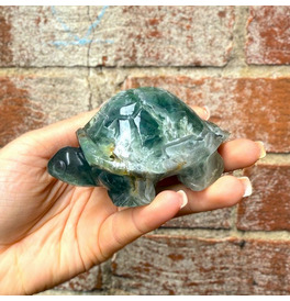 Fluorite Turtle 289g