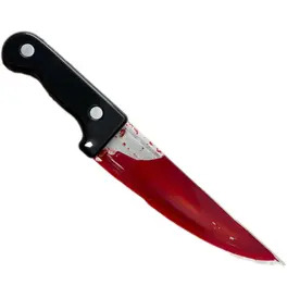 Bloody Kitchen Knife