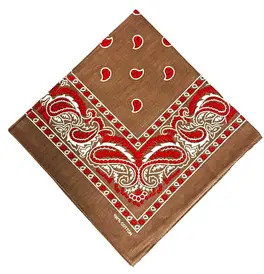 Bandana, Brown Red Paisley