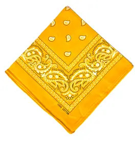 Bandana, Yellow Paisley
