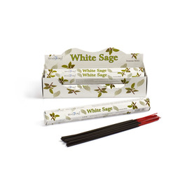 White Sage Incense Sticks (Box Of 6)