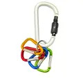 Carabiner 