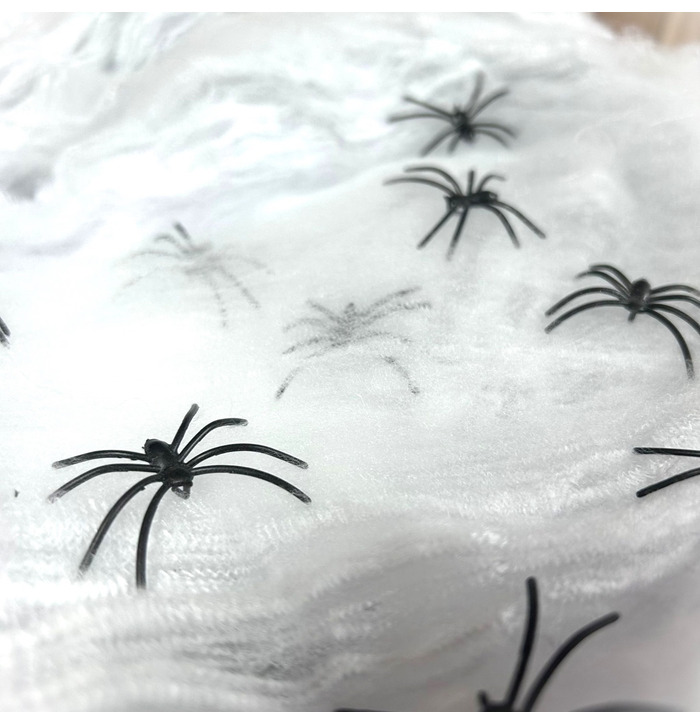 White Spider Webs & Spiders