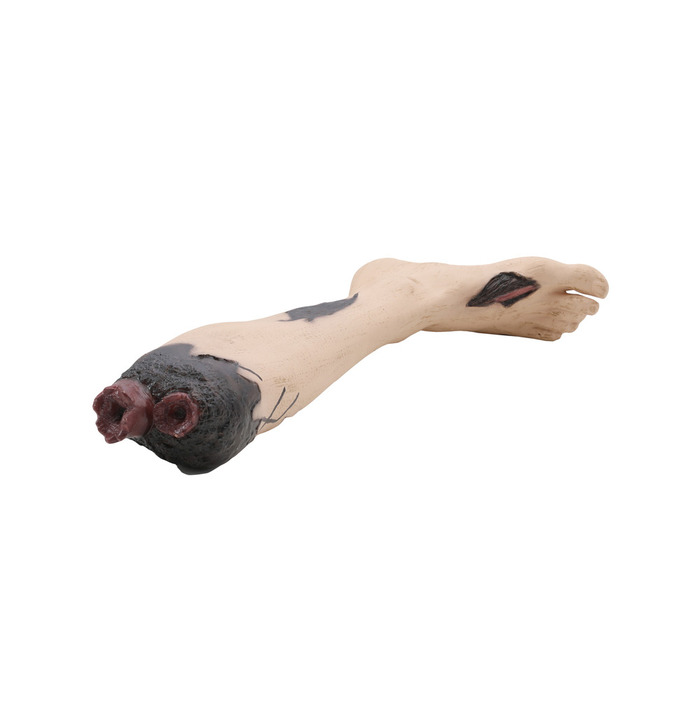 Halloween, Severed Leg Prop