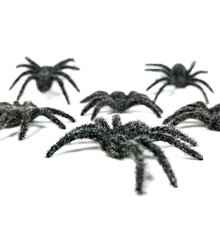 Spiders, Pack of 6 