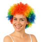 Afro wig, rainbow 