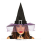 Black witch hat with veil 