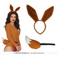 Fox set, tail and headband