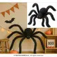 Large black spider, 125cm