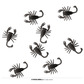 8 scorpions 6cm