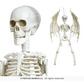 Hanging skeleton with wings