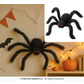 Black spider, 90 cm