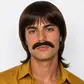 Brown retro wig