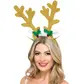 Reindeer antlers, brown