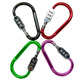 Carabiner lock with resettable ring code