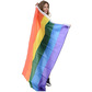 Gay pride rainbow flag