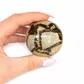 Turtle jasper orbs crystals 135g-330g (4.8-6cm)